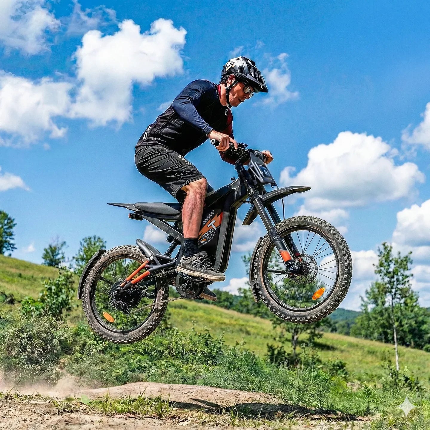 Ouxi GT2000 Ebike