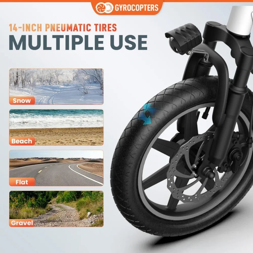 DUTRIEUX Folding Electric Bike - 350W Motor, Compact Design