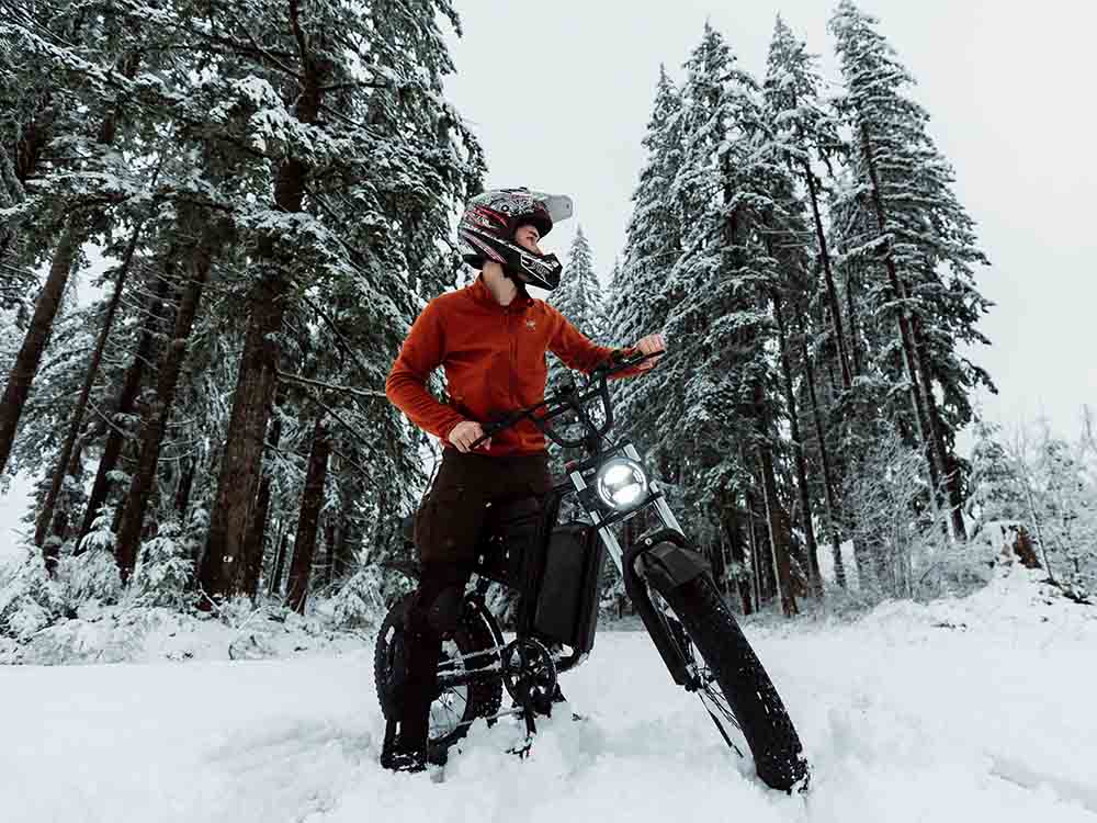 Freego Nachbike Swift S1 Electric Bike