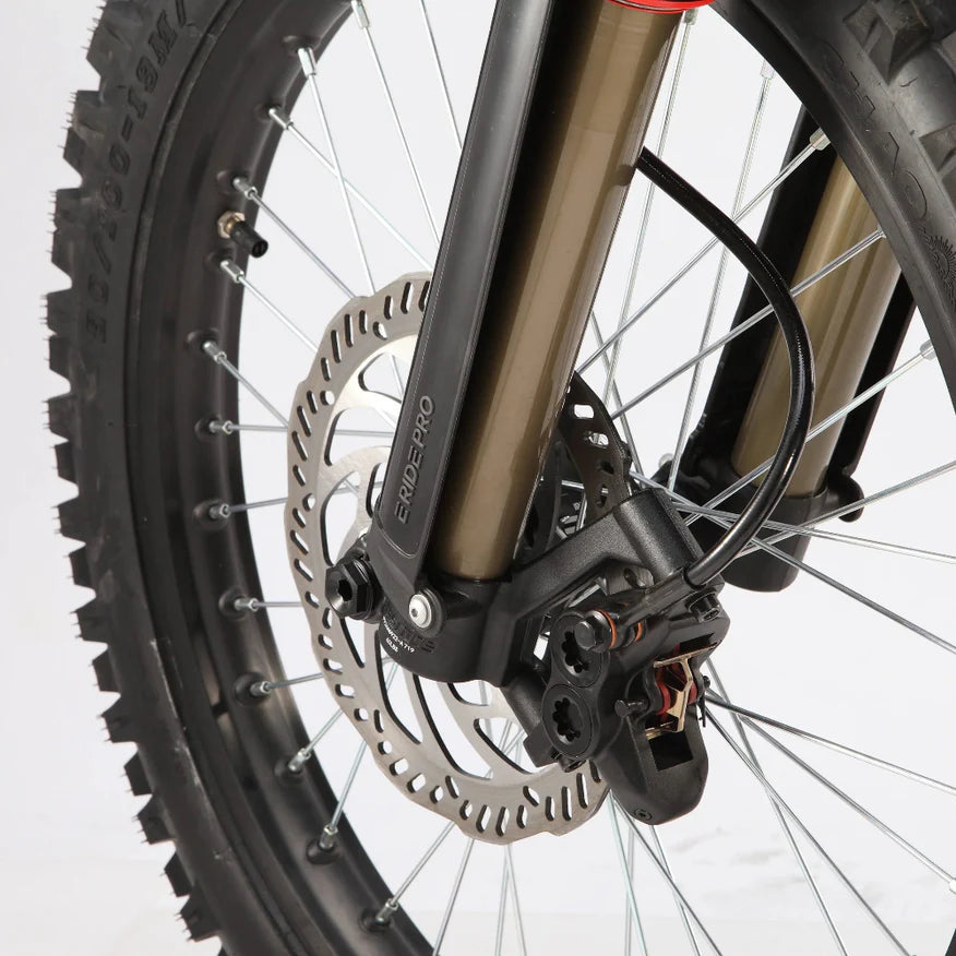 ERide Pro SS 3.0