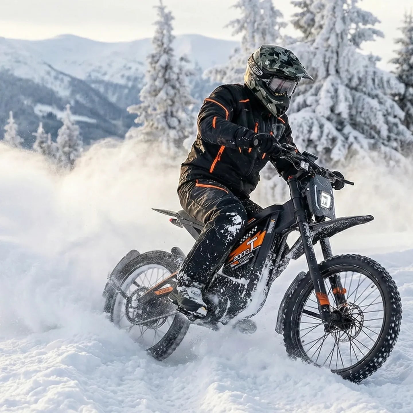 Ouxi GT2000 Ebike