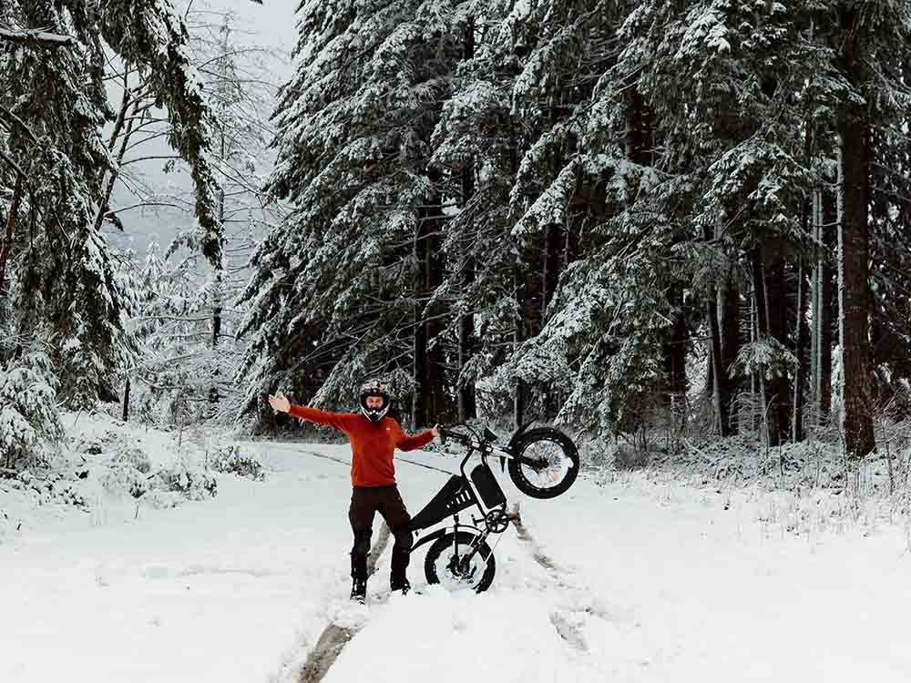 Freego Nachbike Swift S1 Electric Bike