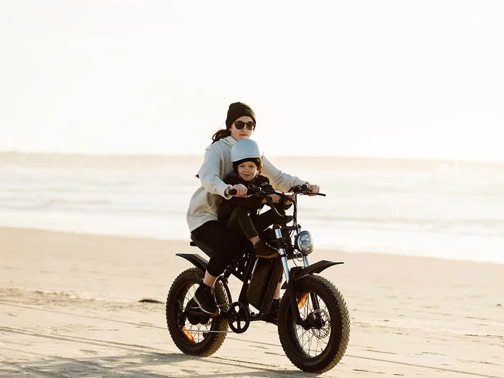 Freego Nachbike Swift S1 Electric Bike