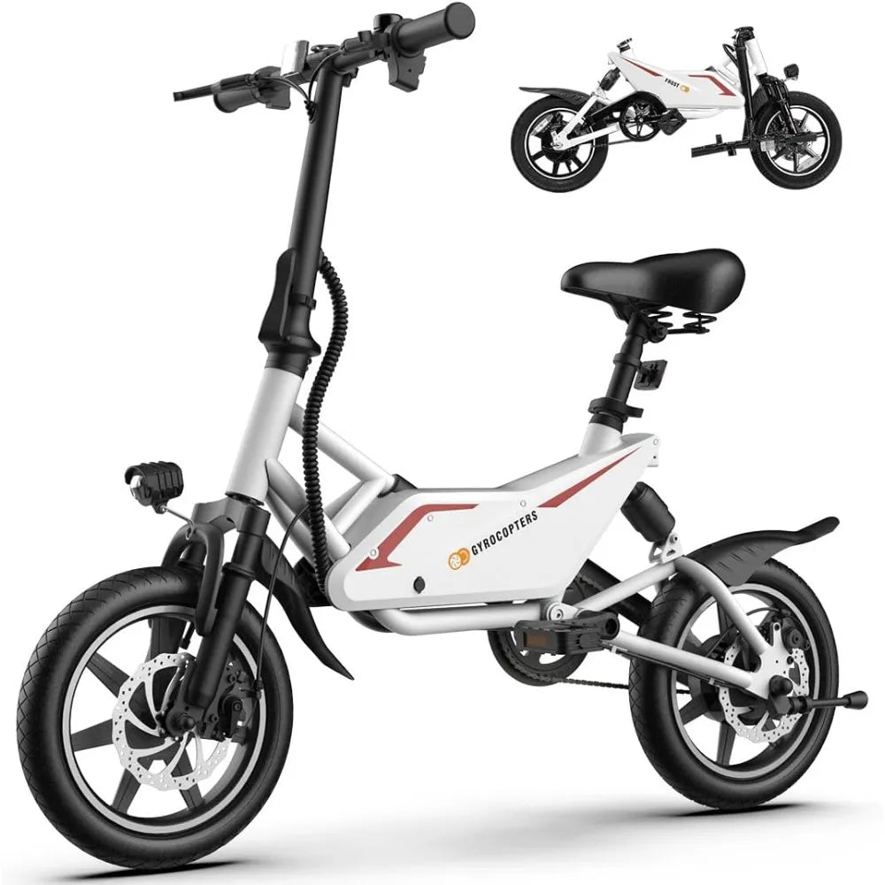 DUTRIEUX Folding Electric Bike - 350W Motor, Compact Design