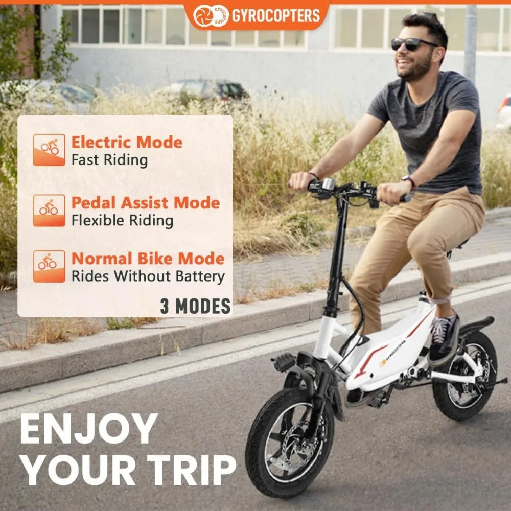 DUTRIEUX Folding Electric Bike - 350W Motor, Compact Design